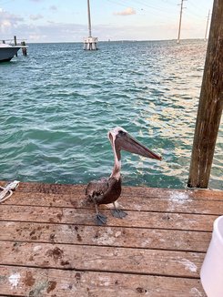 Reise nach Florida